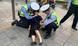 肇庆交警最新爆料,揭秘交通违法行为背后的真相