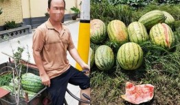 网红吃瓜群怎么进群的,如何轻松加入热门话题聚集地