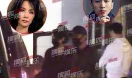 王菲和谢霆锋最新爆料,揭秘复合背后的故事