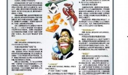 山东泰山晚报 新闻爆料,揭秘泰山景区神秘事件